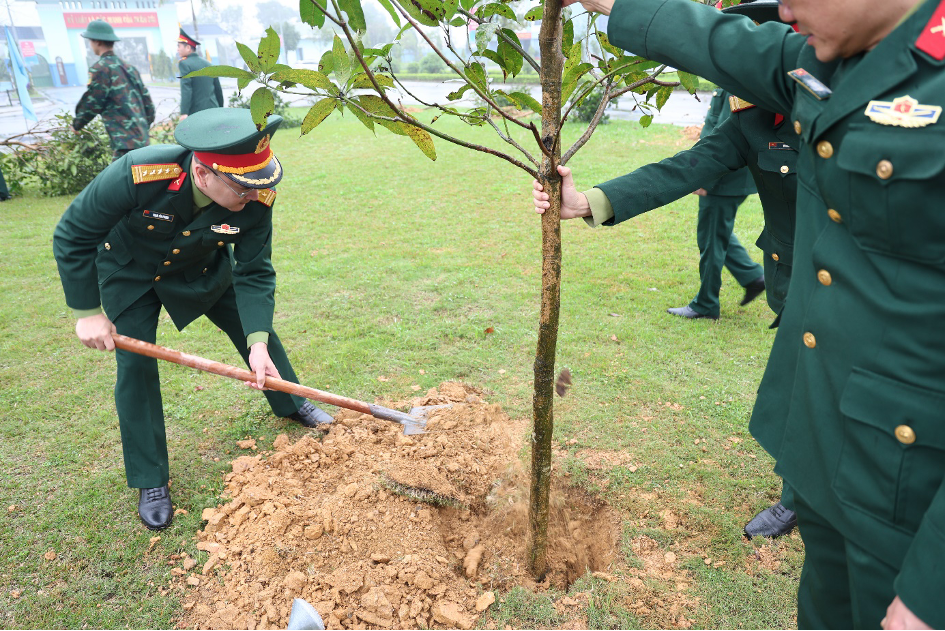 /UploadStore/admin/260222 le trong cay/9.png